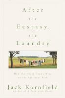 After_the_ecstasy__the_laundry